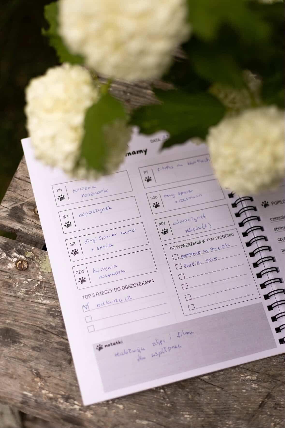 Wnętrze planera — tygodniowy plan dnia i notatki